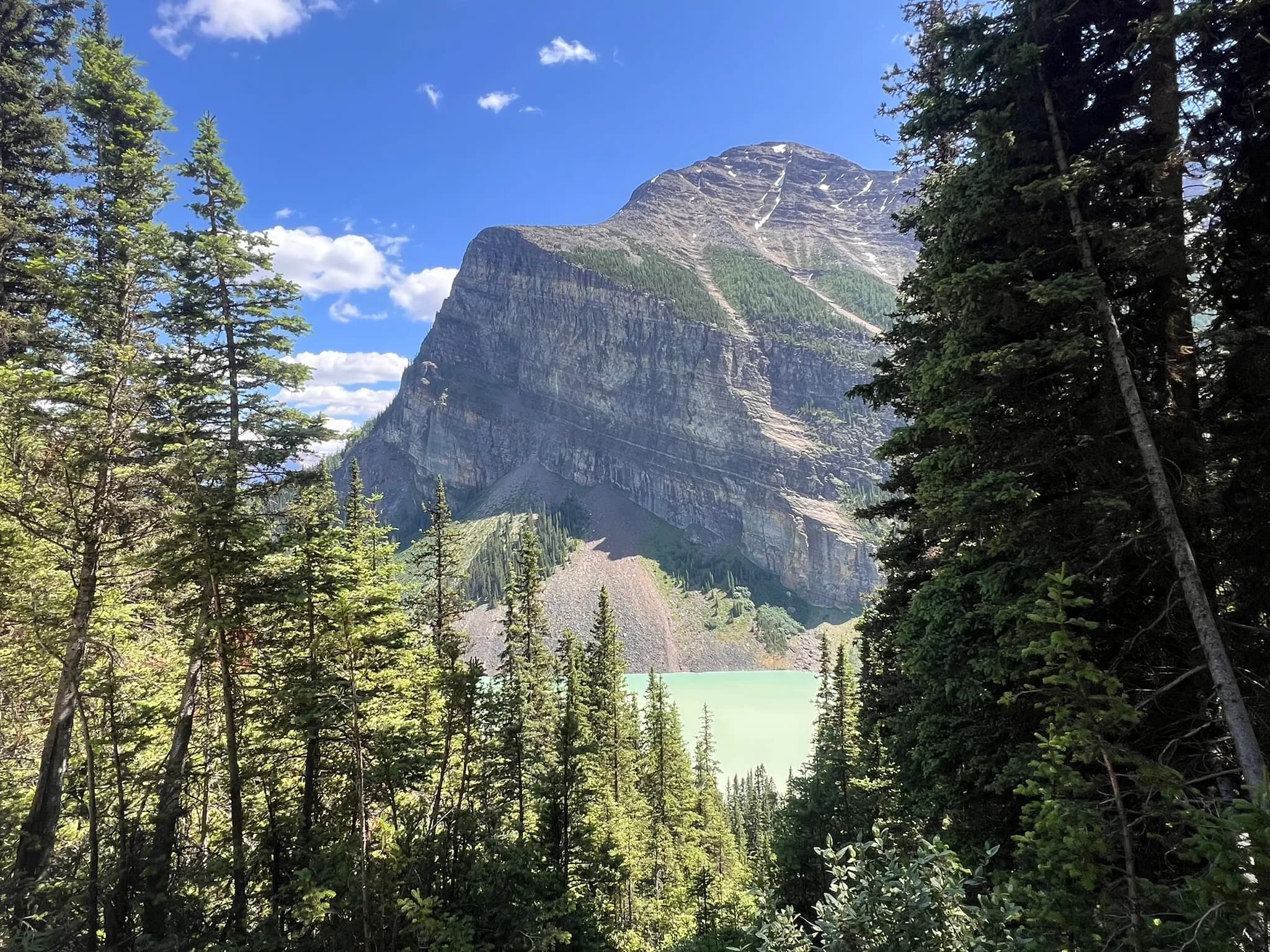 A mountain and turquoise lake seen through pine trees.