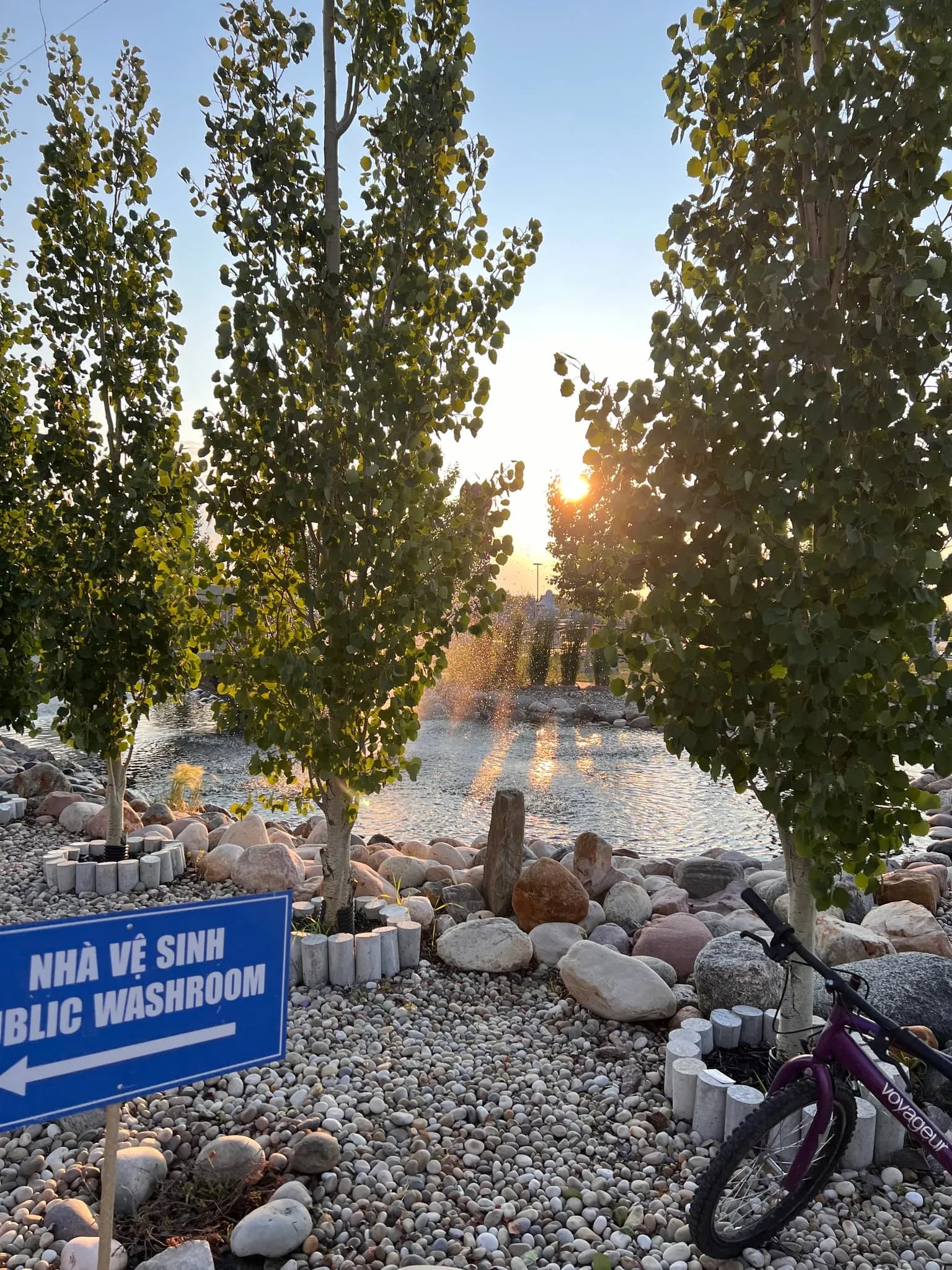 A pond at sunset framed by trees and a rock garden.